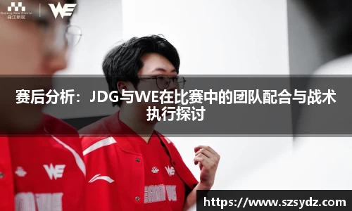 赛后分析：JDG与WE在比赛中的团队配合与战术执行探讨
