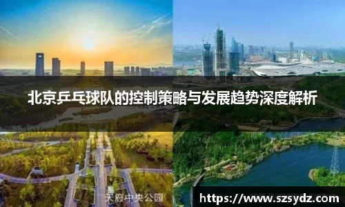 北京乒乓球队的控制策略与发展趋势深度解析