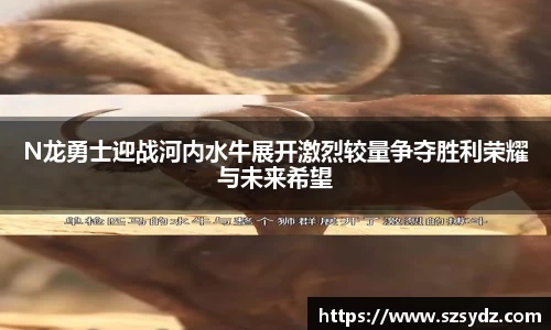 N龙勇士迎战河内水牛展开激烈较量争夺胜利荣耀与未来希望