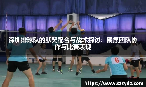 深圳排球队的默契配合与战术探讨：聚焦团队协作与比赛表现