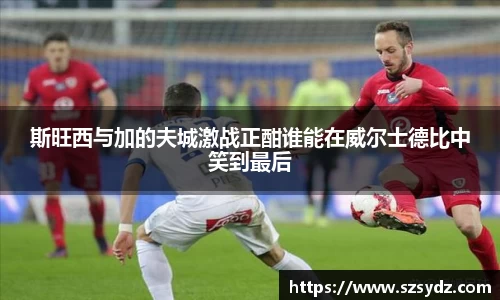 斯旺西与加的夫城激战正酣谁能在威尔士德比中笑到最后