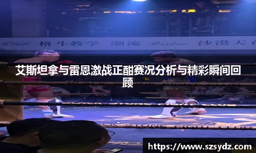 艾斯坦拿与雷恩激战正酣赛况分析与精彩瞬间回顾