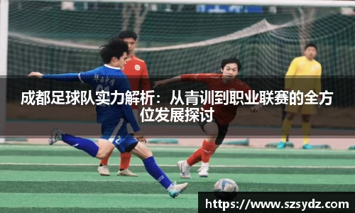 成都足球队实力解析：从青训到职业联赛的全方位发展探讨