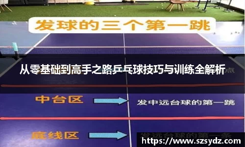 从零基础到高手之路乒乓球技巧与训练全解析