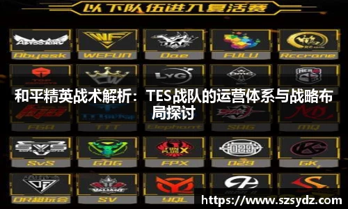 和平精英战术解析：TES战队的运营体系与战略布局探讨
